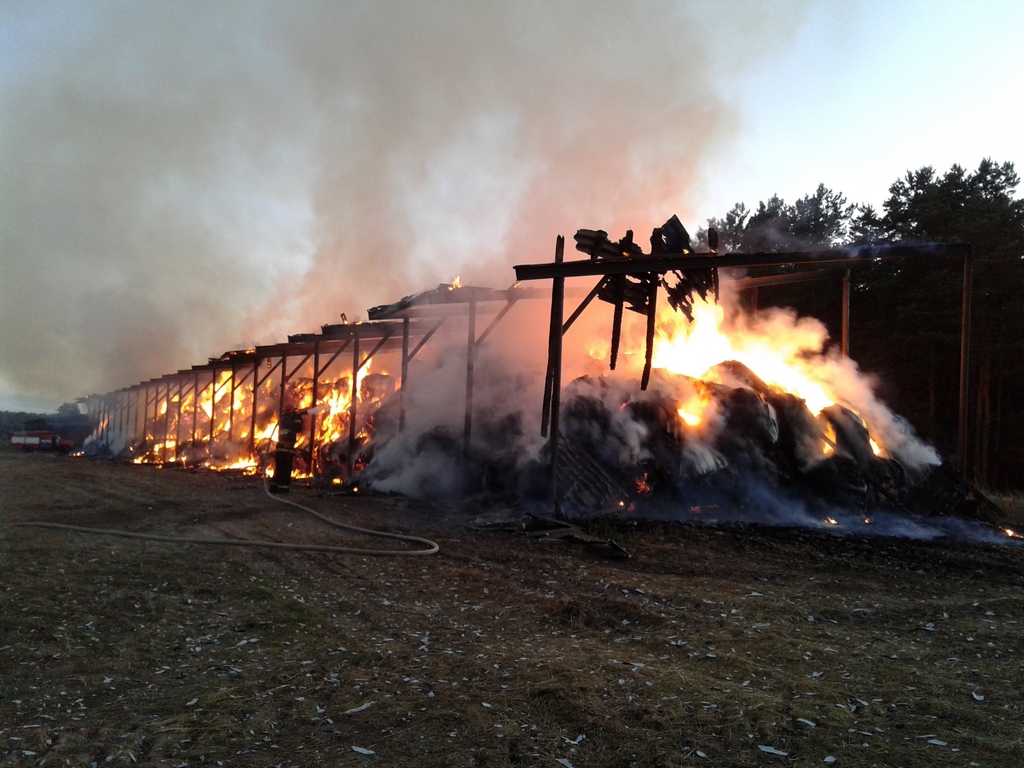 В Рогачевском районе сгорел сеносклад с 340 тоннами сена