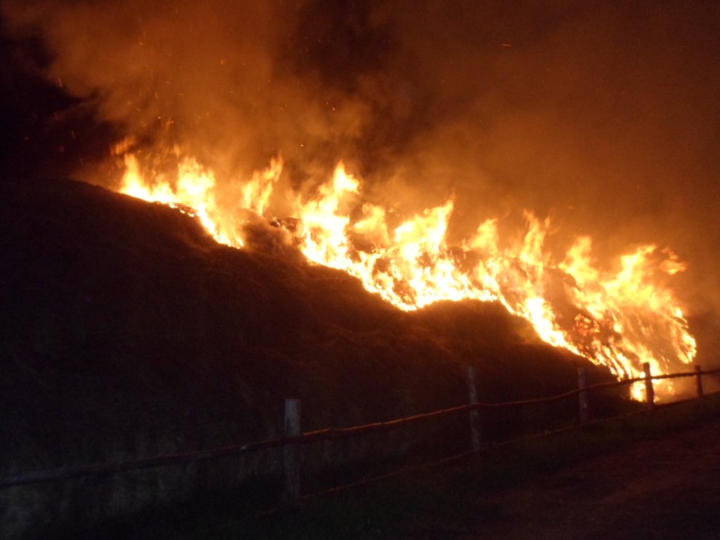В Жлобинском районе сгорело 60 тонн сена