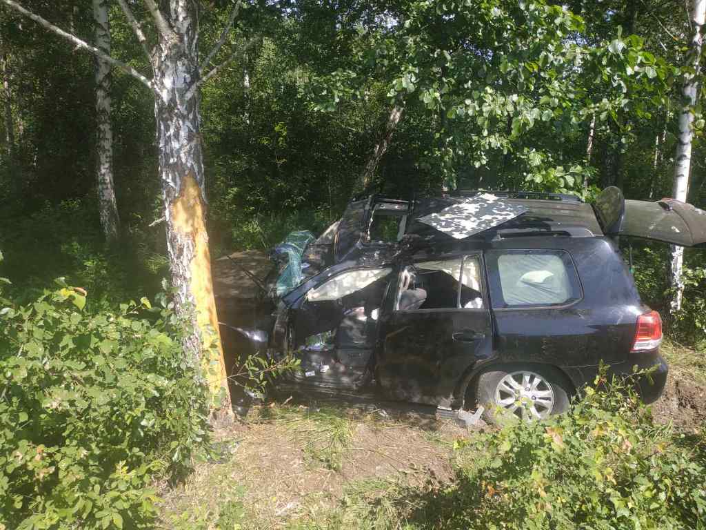ДТП в Лельчицком районе: спасателями деблокирован водитель