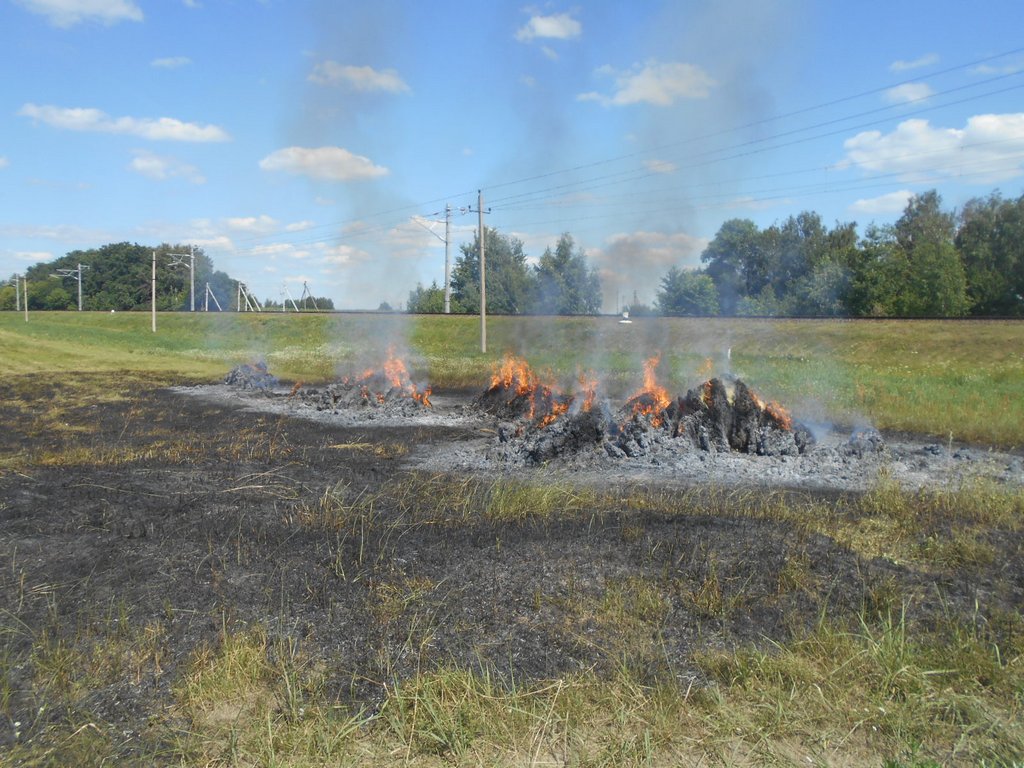 В Жлобинском районе в результате пожара уничтожено 2.5 тонны соломы