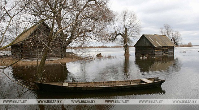 Около 90 пунктов на 5,8 тыс. человек определено для эвакуации на случай паводка в Гомельской области (Белта)