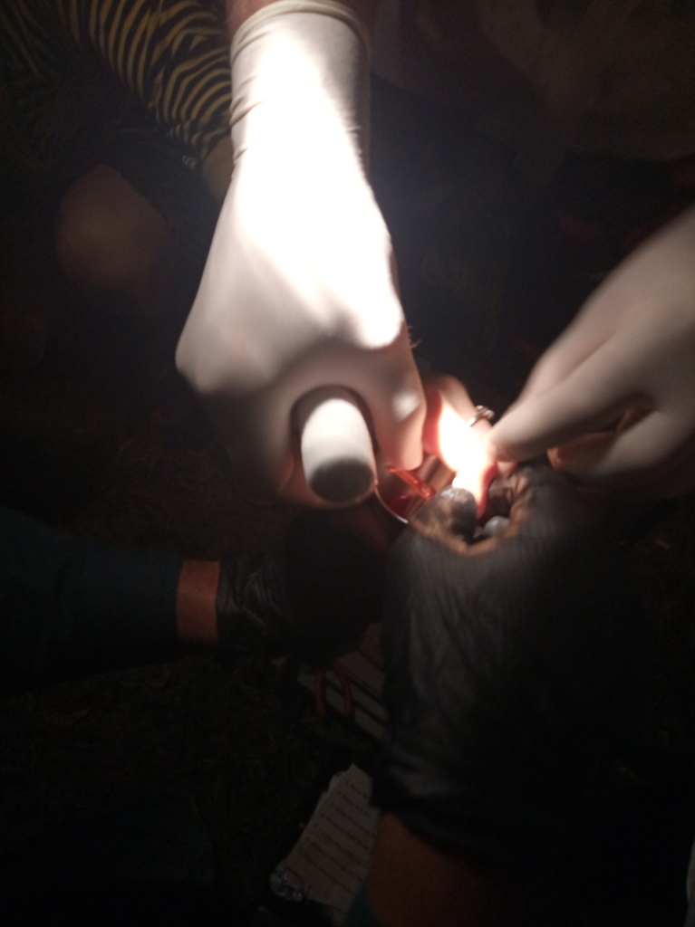 В Калинковичах у женщины палец застрял в блендере: спасатели пришли на помощь