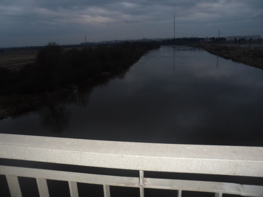 В Жлобинском районе районе мужчина прыгнул с моста