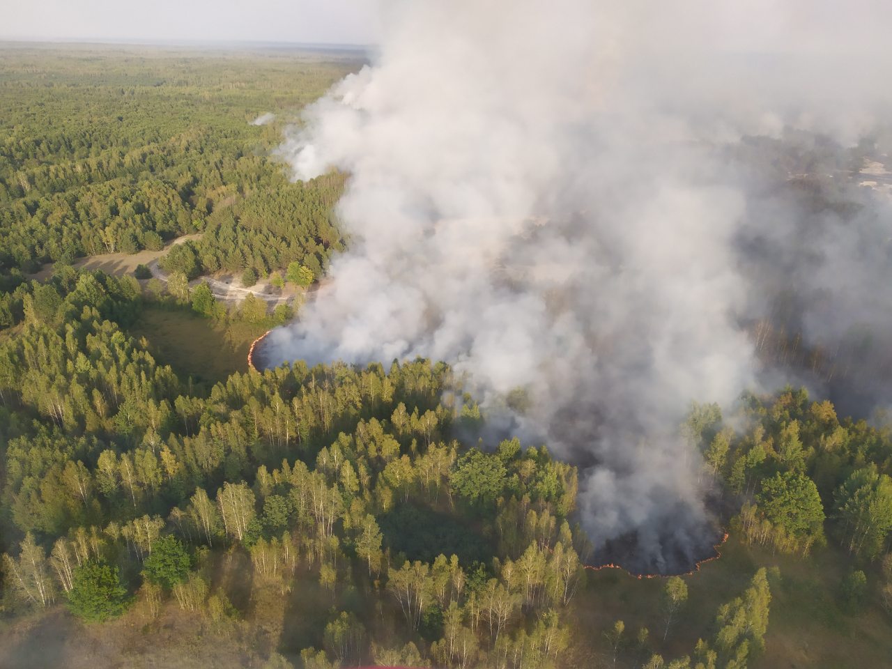В Хойникском раойне локализован лесной пожар на площади 50 га (дополнено)