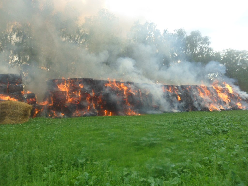 В Жлобинском районе сгорело 45 тонны соломы: спасателями спасено 15 тонн
