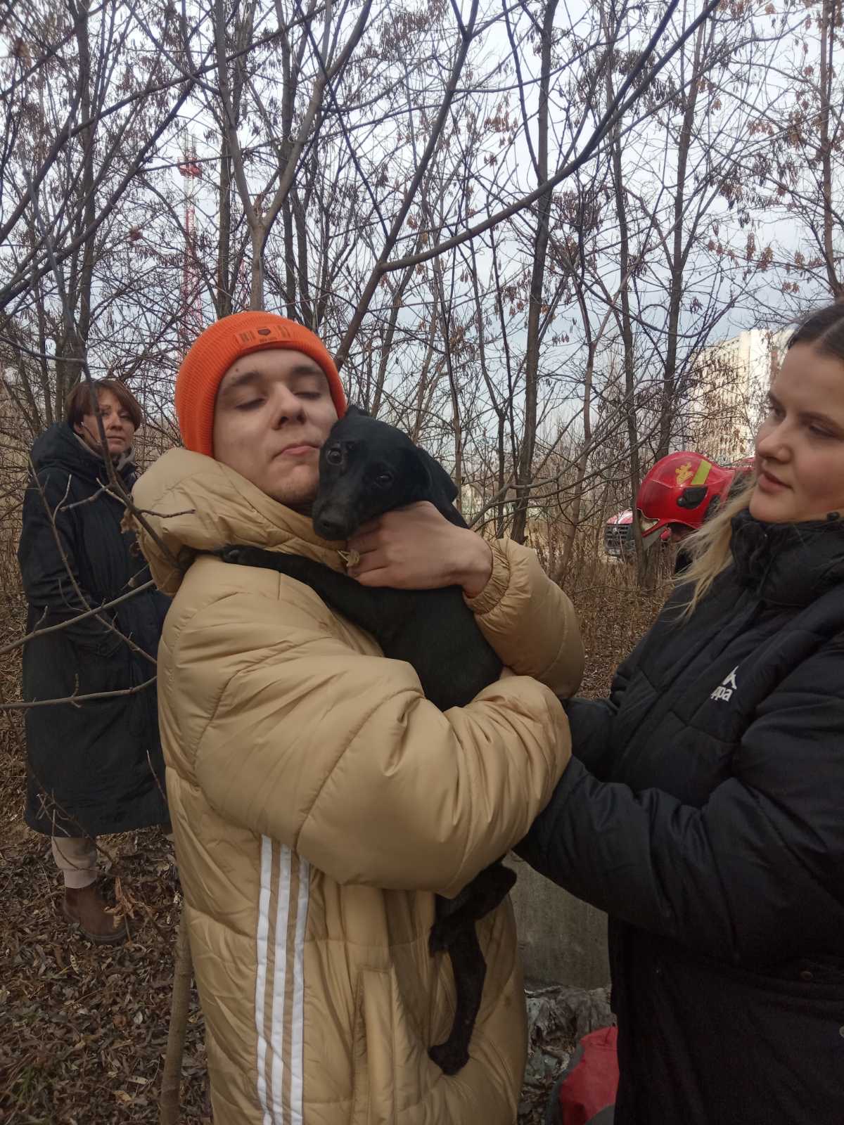 В Гомеле собака провалилась в заброшенный колодец: ее спасли работники МЧС