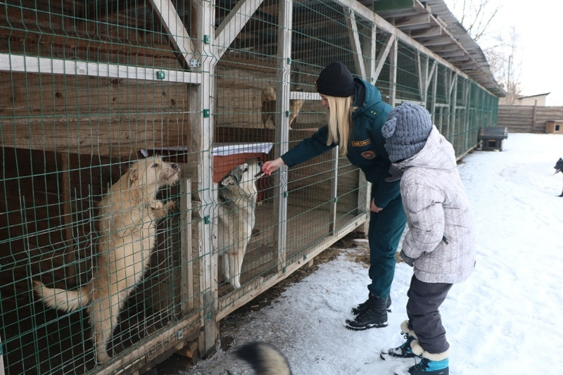 Приют гомель