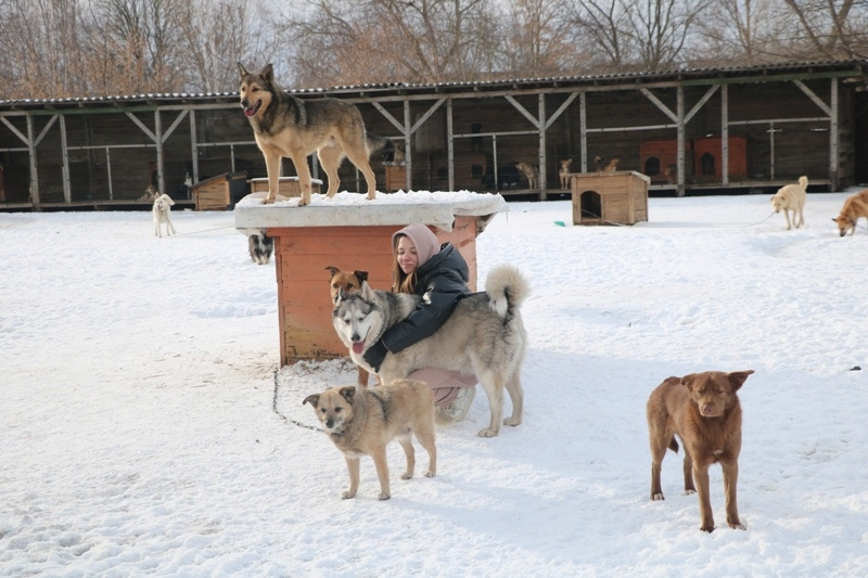 Приют гомель