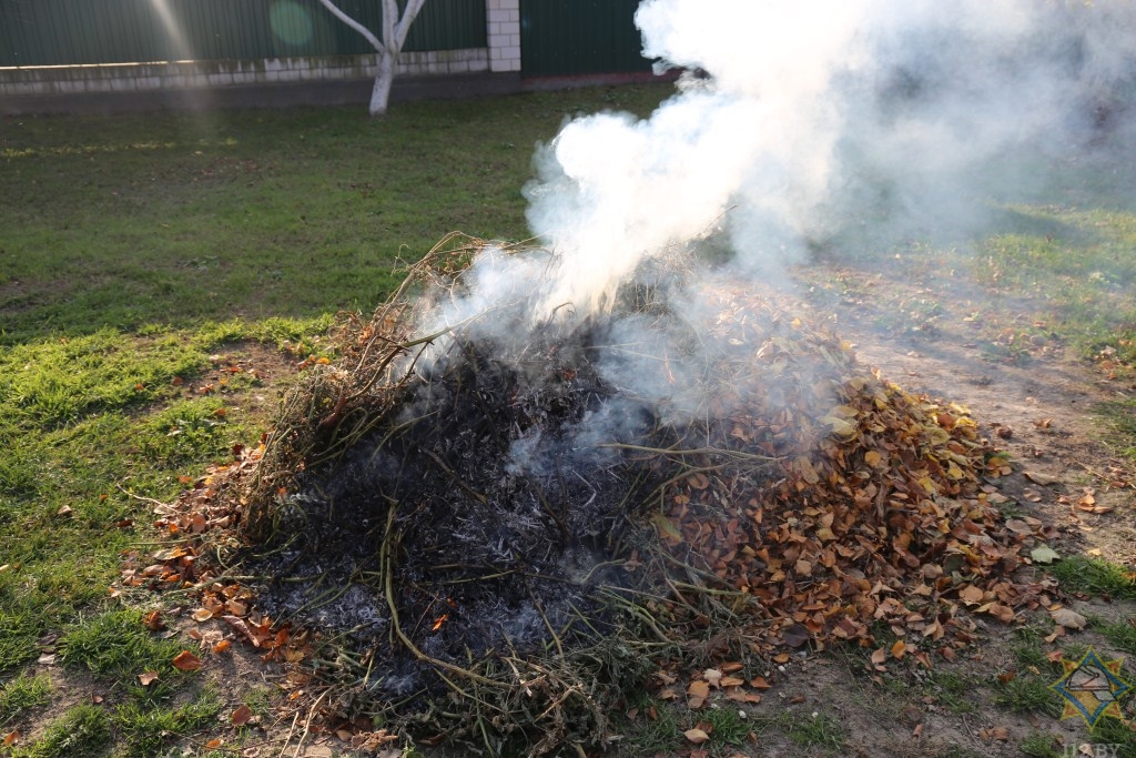 Можно ли сжечь растения. Пожароопасность при сжигании сухой растительности. Выжженная трава.